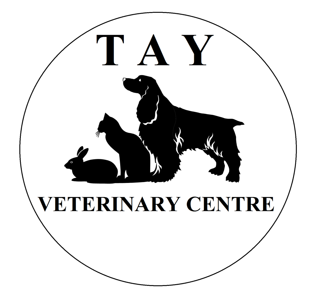 Tay Veterinary Centre – Vets in Dundee