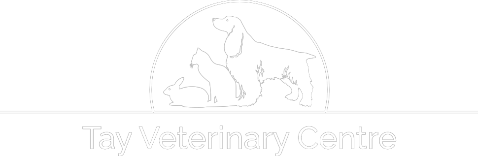 Tay Veterinary Centre Logo - white