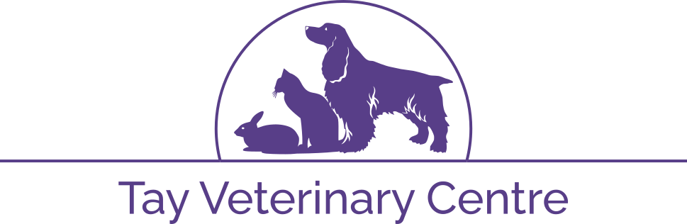 Tay Veterinary Centre Logo